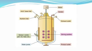 Bioreactor | PPTX