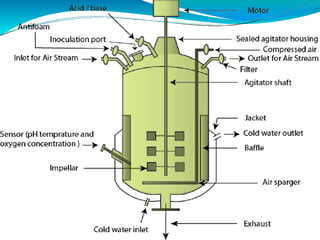 Bioreactor Image Comprehensive Overview of Bioreactor Design, Types, and Applications in ...