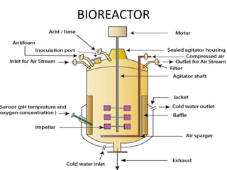 BIOREACTOR
 