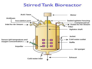 Stirred tank bioreactor
 