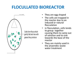 FLOCULLATED BIOREACTOR
• They are egg shaped
• The cells are trapped in
the reactor due to an
induced or natural
flocculation
• in flocculation, cells tends
to group together
causing them to came out
of solution and to sink
towards the base of the
reactor
• They are mainly used in
the anaerobic waste
water treatment
 