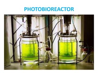 PHOTOBIOREACTOR
 