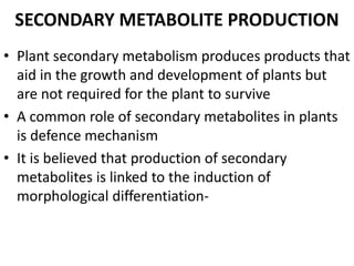 SECONDARY METABOLITE PRODUCTION
• Plant secondary metabolism produces products that
aid in the growth and development of plants but
are not required for the plant to survive
• A common role of secondary metabolites in plants
is defence mechanism
• It is believed that production of secondary
metabolites is linked to the induction of
morphological differentiation-
 