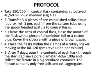 PROTOCOL
• Take 150/250 ml conical flask containing autoclaved
40/60 ml liquid medium (Fig 4.1).
• 2. Transfer 3-4 pieces of pre-established callus tissue
(approx. wt. 1 gm. each) from the culture tube using
the spoon headed spatula to conical flasks.
• 3. Flame the neck of conical flask, close the mouth of
the flask with a piece of alluminium foil or a cotton
plug. Cover the closure with a piece of brown paper.
• 4. Place the flasks within the clamps of a rotary shaker
moving at the 80-120 rpm (revolution per minute)
• 5. After 7 days, pour the contents of each flask through
the sterilized sieve pore diameter -60µ- 100µ and
collect the filtrate in a big sterilized container. The
filtrate contains only free cells and cell aggregates.
 