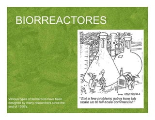 Various types of fermentors have been
designed by many researchers since the
end of 1950's.
BIORREACTORES
 