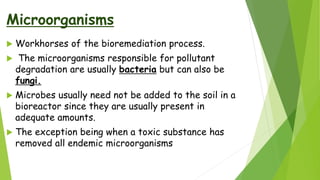 Bioreactors for bioremediation. | PPTX