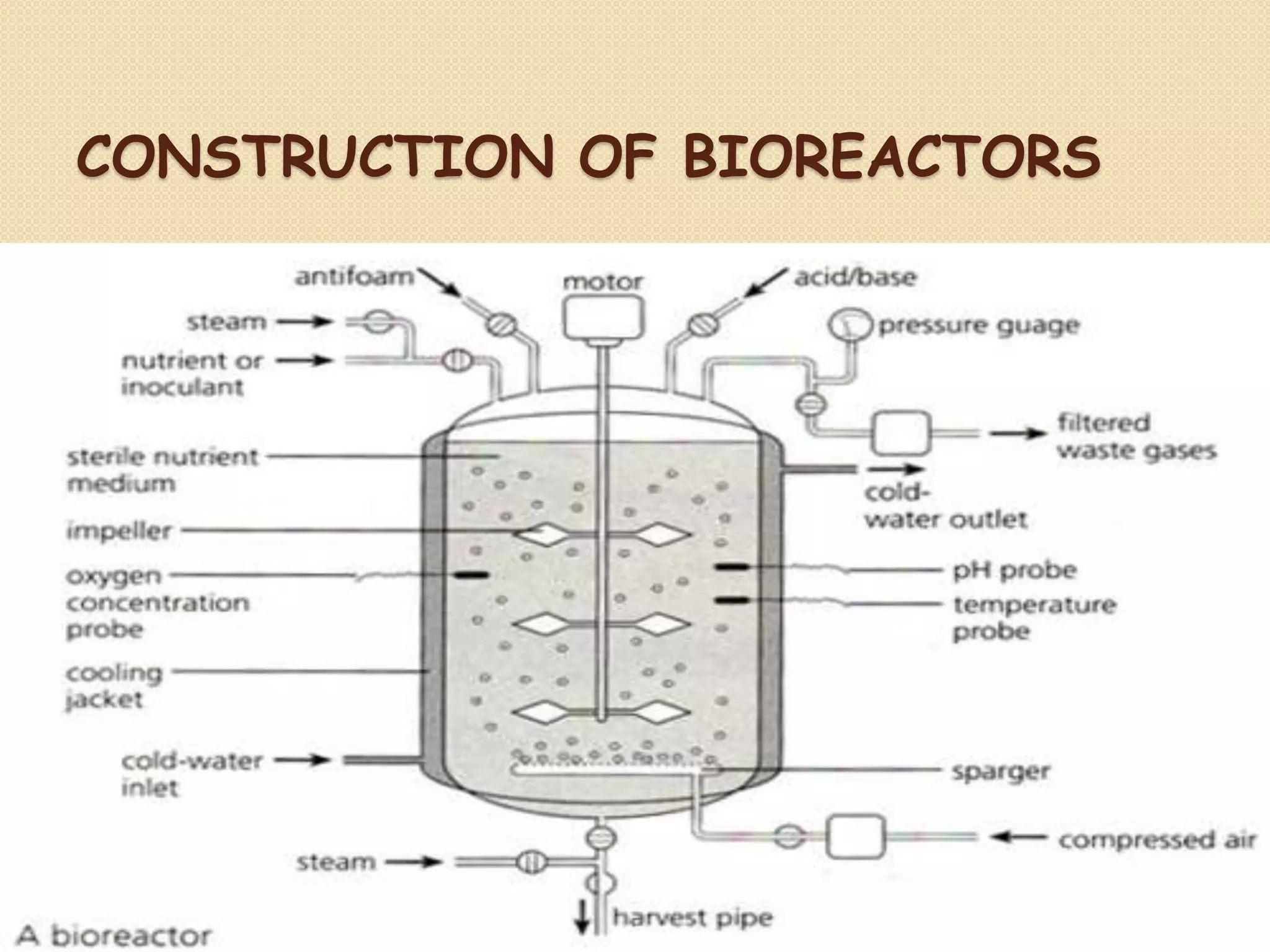 Bioreactors | PPTX