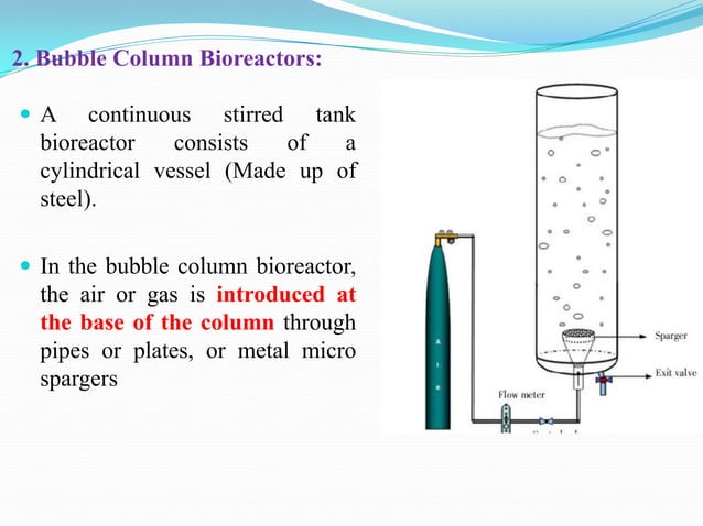 Bioreactors | PDF