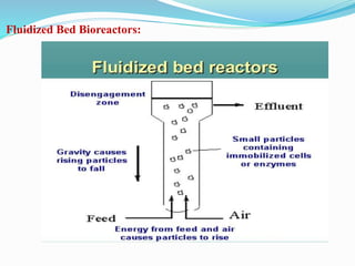 Bioreactors