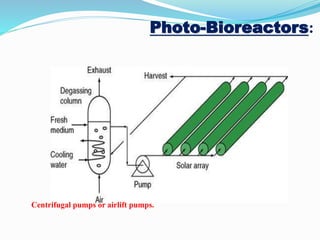 Bioreactors