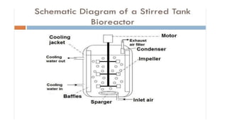Bioreactors in fermentation technology .pptx