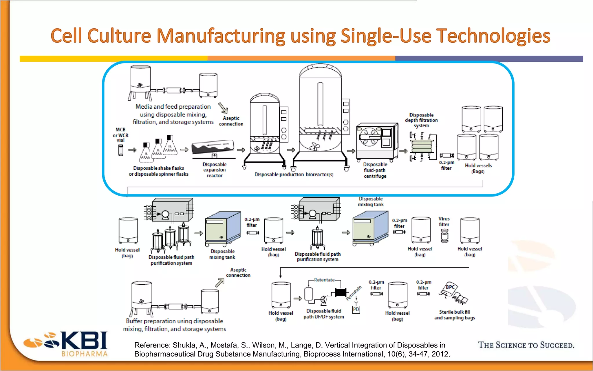 Scalability of a Single-Use Bioreactor Platform for Biopharmaceutical ...