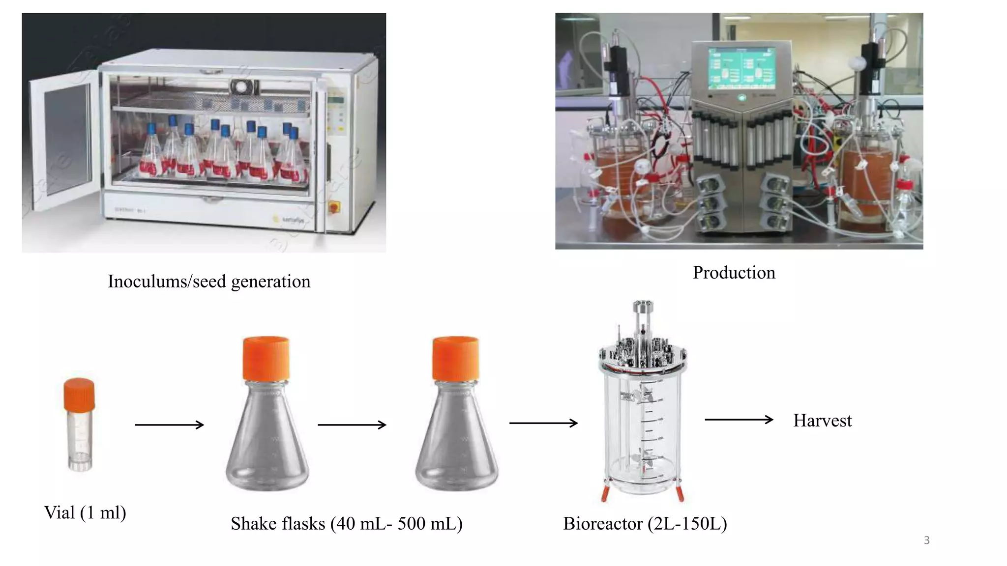 3
Inoculums/seed generation Production
Vial (1 ml)
Shake flasks (40 mL- 500 mL) Bioreactor (2L-150L)
Harvest
 
