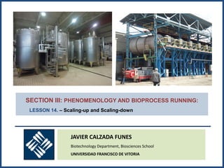 SECTION III: PHENOMENOLOGY AND BIOPROCESS RUNNING:
LESSON 14. – Scaling-up and Scaling-down
JAVIER CALZADA FUNES
Biotechnology Department, Biosciences School
UNIVERSIDAD FRANCISCO DE VITORIA
 