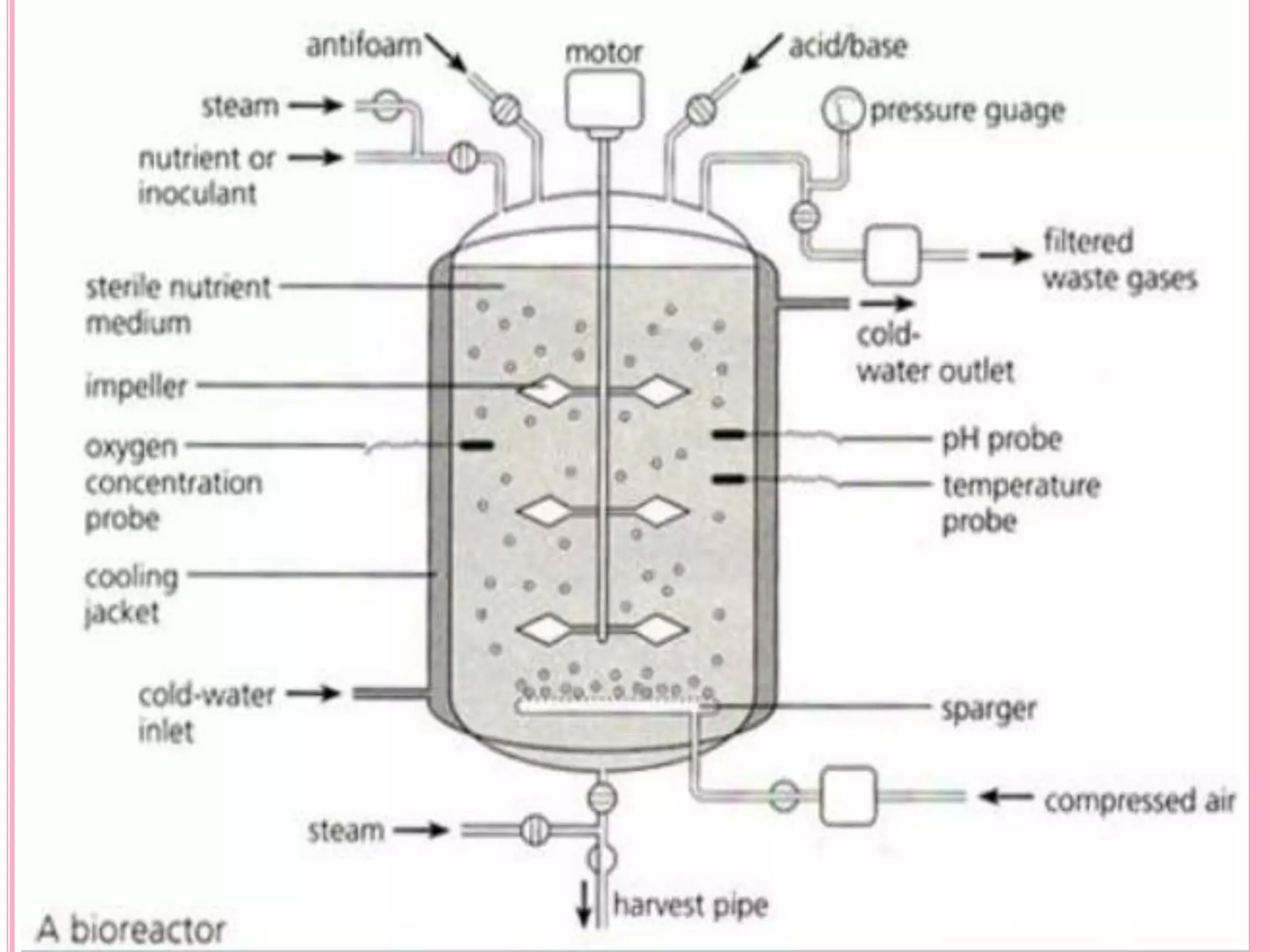 BIOREACTORS OR FERMENTERS | PDF