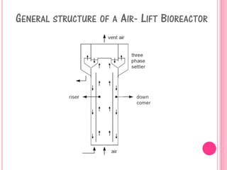 GENERAL STRUCTURE OF A AIR- LIFT BIOREACTOR
 