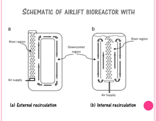 SCHEMATIC OF AIRLIFT BIOREACTOR WITH
(a) External recirculation (b) Internal recirculation
 