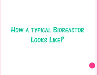 HOW A TYPICAL BIOREACTOR
LOOKS LIKE?
 