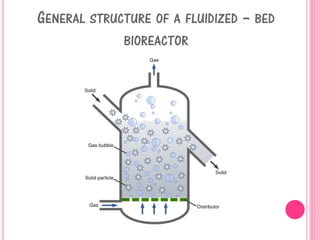 GENERAL STRUCTURE OF A FLUIDIZED – BED
BIOREACTOR
 