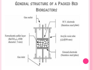 GENERAL STRUCTURE OF A PACKED BED
BIOREACTORS
 