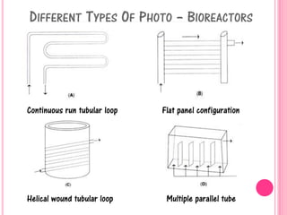 DIFFERENT TYPES OF PHOTO – BIOREACTORS
Continuous run tubular loop Flat panel configuration
Helical wound tubular loop Multiple parallel tube
 
