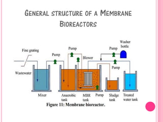 GENERAL STRUCTURE OF A MEMBRANE
BIOREACTORS
 