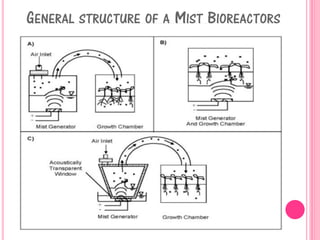 GENERAL STRUCTURE OF A MIST BIOREACTORS
 