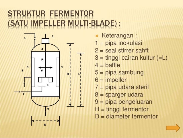 Bioreaktor