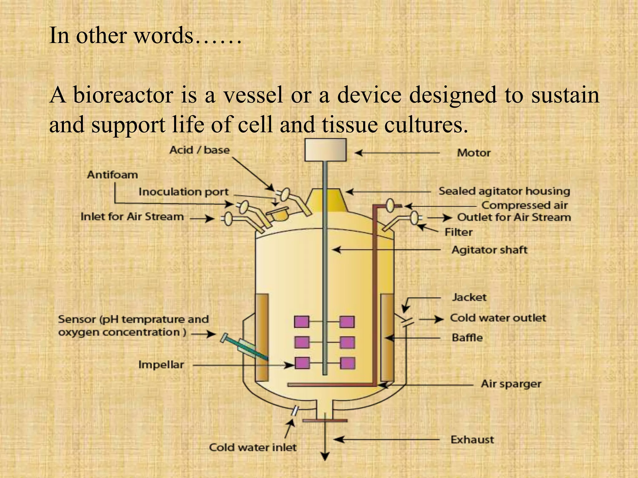 In other words……
A bioreactor is a vessel or a device designed to sustain
and support life of cell and tissue cultures.
 