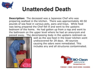 Unattended Death Description:  The deceased was a Japanese Chef who was preparing seafood in the kitchen.  There was approximately 40-50 pounds of sea food in various pots, pans and trays.  While food was being prepared the Chef fell ill and went to the upstairs bedroom of the home.  He had gotten up from a nap and went to the bathroom on the upper level where he had an aneurysm and passed away.  The decomposing body in the upstairs restroom as 			well as the sea food in the lower kitchen went 			undiscovered for 29 days.  All sources 				causing the odors were remediated. This 			includes any and all structures contaminated.   