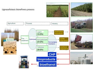 bioethanol
Lignocellulosic biorefinery process
CHP
bioproducts
BSRUN, Olsztyn, May 31, 2013
 