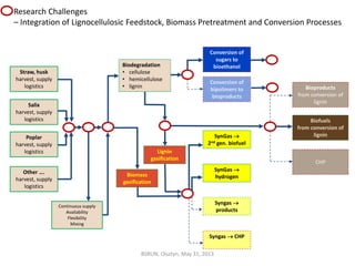 Straw, husk
harvest, supply
logistics
Salix
harvest, supply
logistics
Other ….
harvest, supply
logistics
Biodegradation
• cellulose
• hemicellulose
• lignin
Lignin
gasification
Biomass
gasification
Conversion of
sugars to
bioethanol
Conversion of
bipolimers to
bioproducts
SynGas 
2nd gen. biofuel
SynGas 
hydrogen
Bioproducts
from conversion of
lignin
Biofuels
from conversion of
lignin
Syngas 
products
Syngas  CHP
Poplar
harvest, supply
logistics
Continuous supply
Availability
Flexibility
Mixing
CHP
Research Challenges
– Integration of Lignocellulosic Feedstock, Biomass Pretreatment and Conversion Processes
BSRUN, Olsztyn, May 31, 2013
 