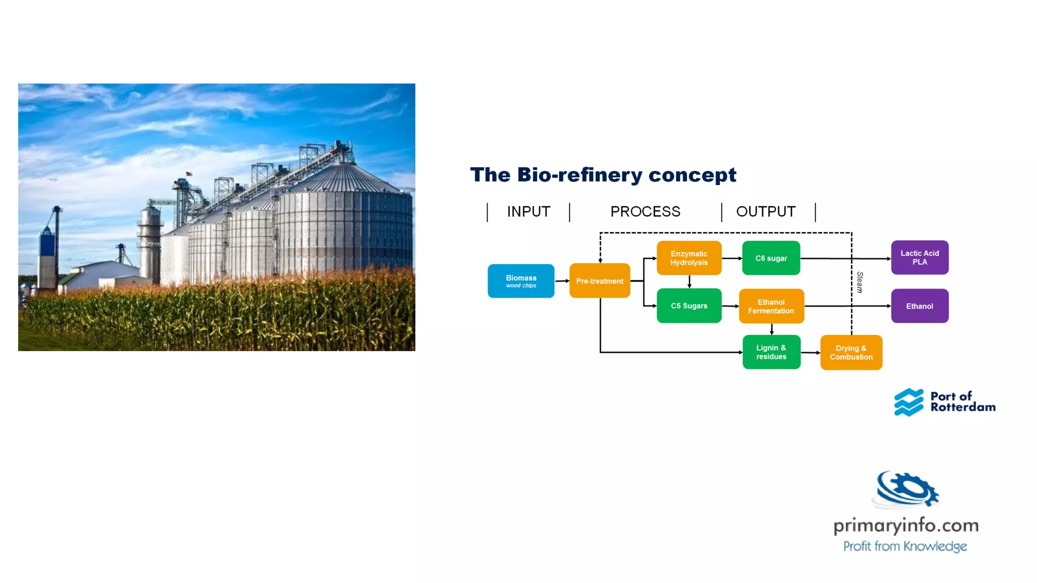 Biorefinery - technology sources | PDF