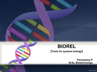 BIOREL
(Tools for systems biology)
Periyasamy.P
M.Sc.,Biotechnology
11
 