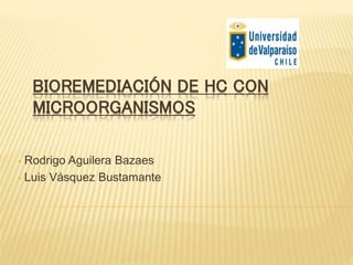 BIOREMEDIACIÓN DE HC CON
MICROORGANISMOS
• Rodrigo Aguilera Bazaes
• Luis Vásquez Bustamante
 