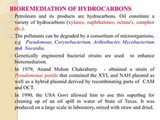 BIOREMEDIATION OF HYDROCARBONS 
Petroleum and its products are hydrocarbons. Oil constitute a 
variety of hydrocarbons (xylanes, naphthalenes, octane's, camphor 
etc,). 
The pollutants can be degraded by a consortium of microorganisms, 
e.g Pseudomoas, Corynebacterium, Arthrobacter, Mycobacterium 
and Nocardia. 
Genetically engineered bacterial strains are used to enhance 
bioremediation. 
In 1979, Anand Mohan Chakrabarty - obtained a strain of 
Pseudomonas putida that contained the XYL and NAH plasmid as 
well as a hybrid plasmid derived by recombinating parts of CAM 
and OCT. 
In 1990, the USA Govt allowed him to use this superbug for 
cleaning up of an oil spill in water of State of Texas. It was 
produced on a large scale in laboratory, mixed with straw and dried. 
 