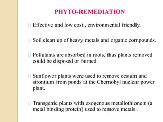 PHYTO-REMEDIATION 
Effective and low cost , environmental friendly. 
Soil clean up of heavy metals and organic compounds. 
Pollutants are absorbed in roots, thus plants removed 
could be disposed or burned. 
Sunflower plants were used to remove cesium and 
strontium from ponds at the Chernobyl nuclear power 
plant. 
Transgenic plants with exogenous metallothionein (a 
metal binding protein) used to remove metals . 
 
