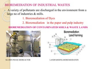 BIOREMEDIATION OF INDUSTRIAL WASTES 
 A variety of pollutants are discharged in the environment from a 
large no of industries & mills. 
1. Bioremediation of Dyes 
2. Bioremediation in the paper and pulp industry 
BIOREMEDIATION OF CONTAMINATED SOILS & WASTE LANDS 
SLURRY-PHASE BIOREACTOR LANDFARMING-BIOREMEDIATION 
 