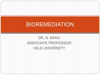 DR. N. BANU
ASSOCIATE PROFESSOR
VELS UNIVERSITY
BIOREMEDIATION
 