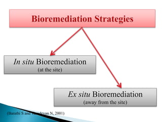 In situ Bioremediation
(at the site)
Ex situ Bioremediation
(away from the site)
(Barathi S and Vasudevan N, 2001)
 