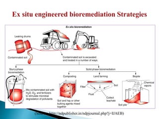 (Source: http://ndpublisher.in/ndpjournal.php?j=IJAEB)
 