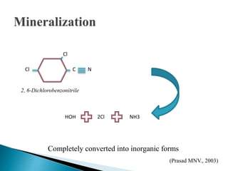 NH32ClHOH
Completely converted into inorganic forms
Cl
Cl C N
2, 6-Dichlorobenzonitrile
(Prasad MNV., 2003)
 