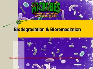 Biodegradation & BioremediationBiodegradation & Bioremediation
http://www.authorstream.com/Presentation/benedictpaulc-242674-bioremediation-biormediation-medium-grade-entertainment-ppt-powerpoint/http://www.authorstream.com/Presentation/benedictpaulc-242674-bioremediation-biormediation-medium-grade-entertainment-ppt-powerpoint/
 