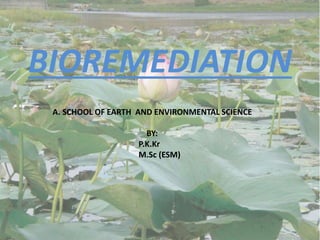 BIOREMEDIATION
A. SCHOOL OF EARTH AND ENVIRONMENTAL SCIENCE
BY:
P.K.Kr
M.Sc (ESM)
 