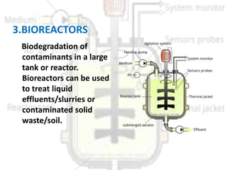 Bioremediation....p.k (1)11 | PPT