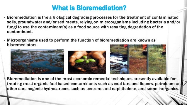 bioremediation
