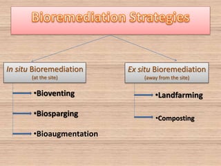 In situ Bioremediation
(at the site)
Ex situ Bioremediation
(away from the site)
•Biosparging
•Bioventing
•Bioaugmentation
•Landfarming
•Composting
 