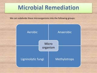 We can subdivide these microorganisms into the following groups:
Aerobic Anaerobic
Ligninolytic fungi Methylotrops
Micro
organism
 