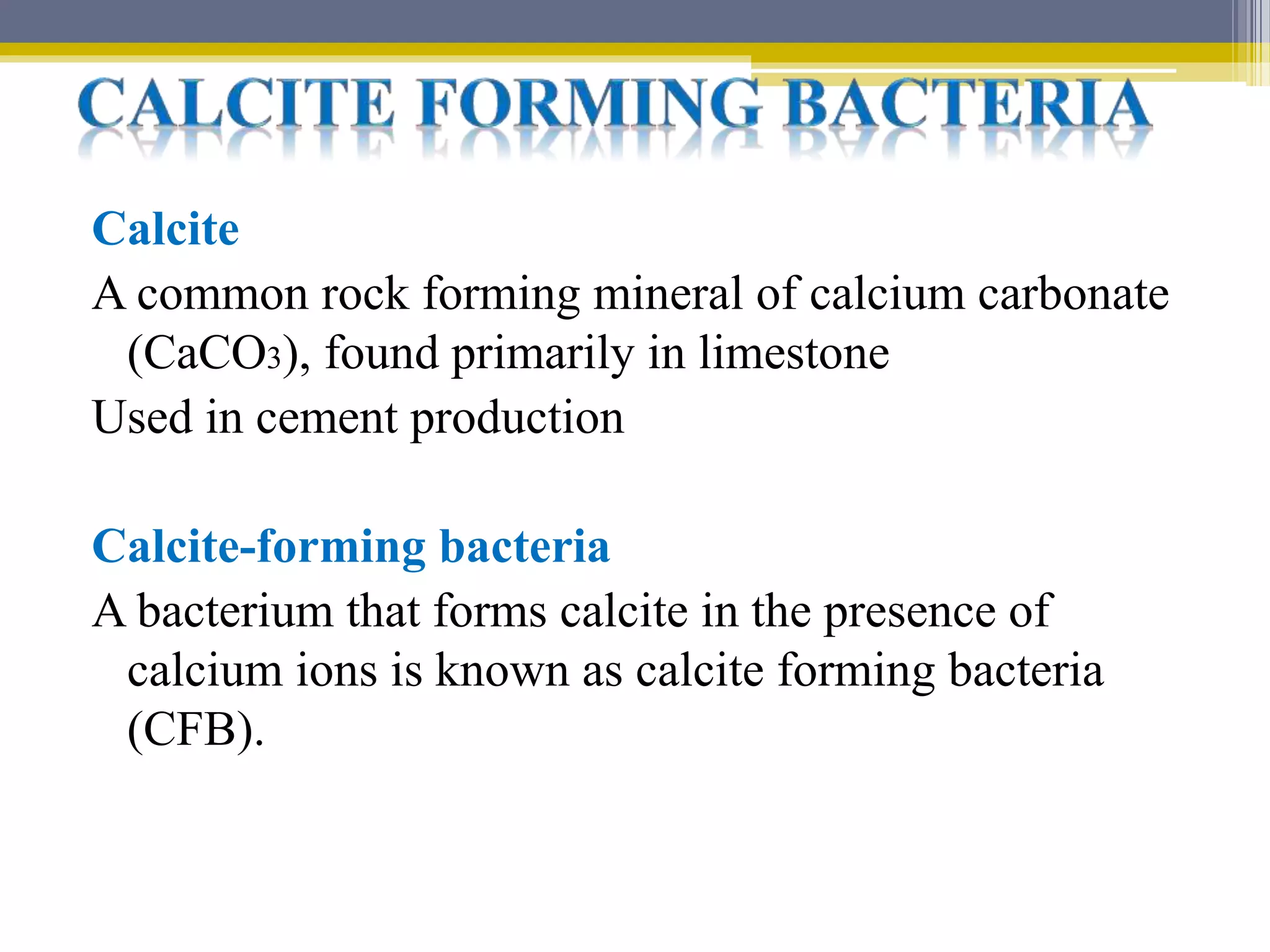 Calcite forming bacteria in bioremediation | PPT