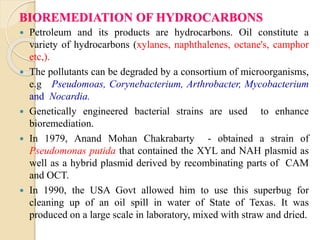 BIOREMEDIATION OF HYDROCARBONS
 Petroleum and its products are hydrocarbons. Oil constitute a
variety of hydrocarbons (xylanes, naphthalenes, octane's, camphor
etc,).
 The pollutants can be degraded by a consortium of microorganisms,
e.g Pseudomoas, Corynebacterium, Arthrobacter, Mycobacterium
and Nocardia.
 Genetically engineered bacterial strains are used to enhance
bioremediation.
 In 1979, Anand Mohan Chakrabarty - obtained a strain of
Pseudomonas putida that contained the XYL and NAH plasmid as
well as a hybrid plasmid derived by recombinating parts of CAM
and OCT.
 In 1990, the USA Govt allowed him to use this superbug for
cleaning up of an oil spill in water of State of Texas. It was
produced on a large scale in laboratory, mixed with straw and dried.
 